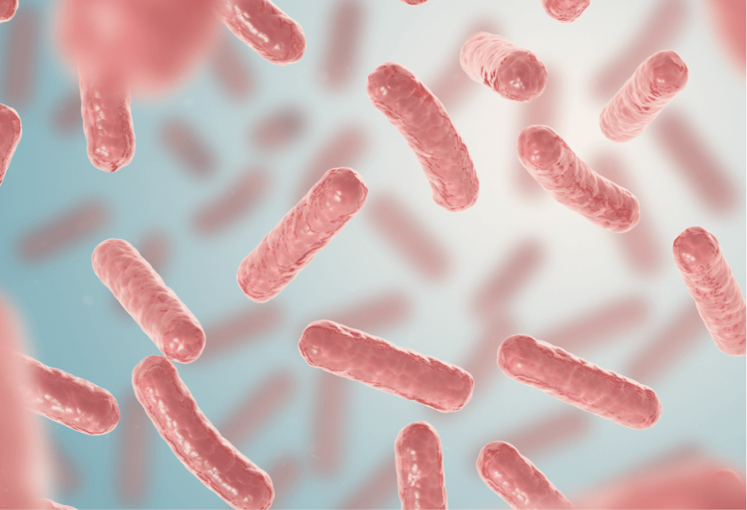 Lactobacillus Ferment bacteria floating 